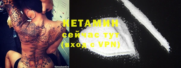 шишки Богданович