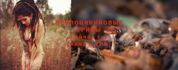 синтетический гашиш Бородино