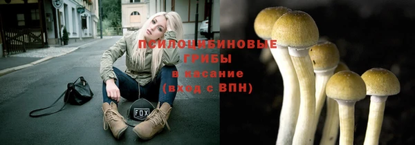ECSTASY Богородицк