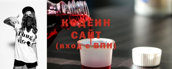 ECSTASY Богородицк