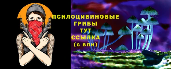 ECSTASY Богородицк