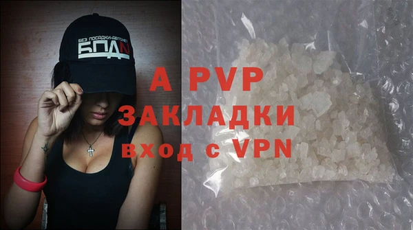 ECSTASY Богородицк