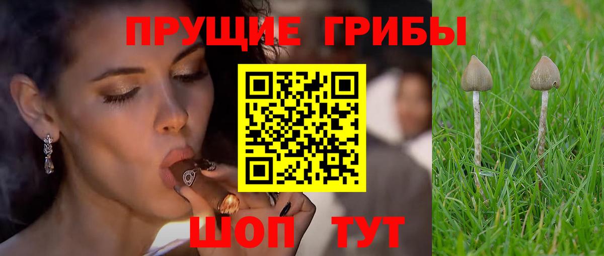 Галлюциногенные грибы Magic Shrooms Буйнакск